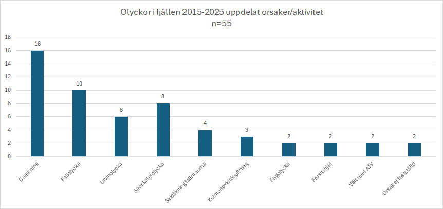 olyckor2015_2025_orsaker.png