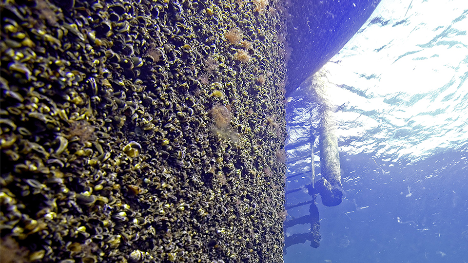 Vindkraftsverk under vattenytan.