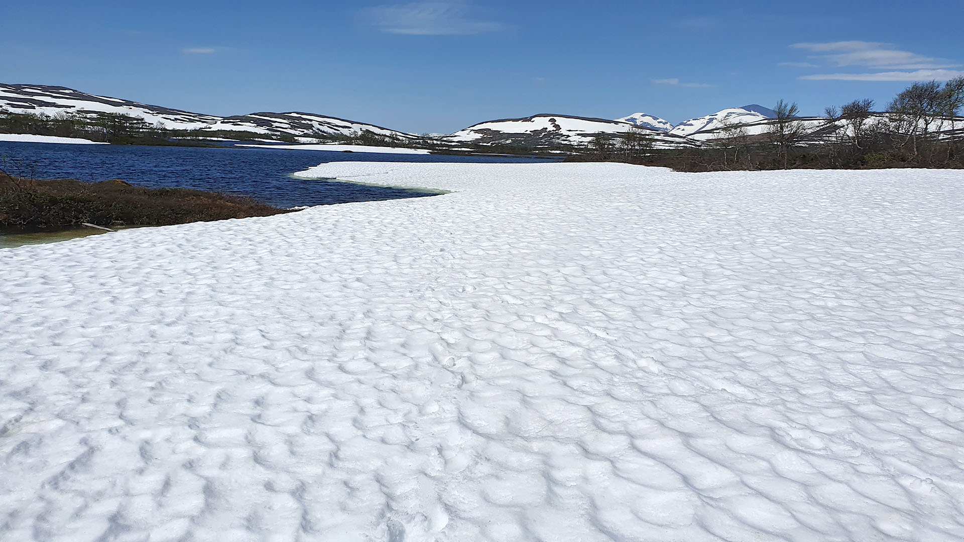 Fotograf: Per-Olov Wikberg Skare med fjäll i bakgrunden