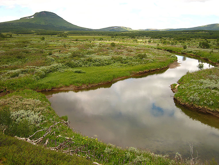 sommar-i-fjallen-lagupplost.jpg