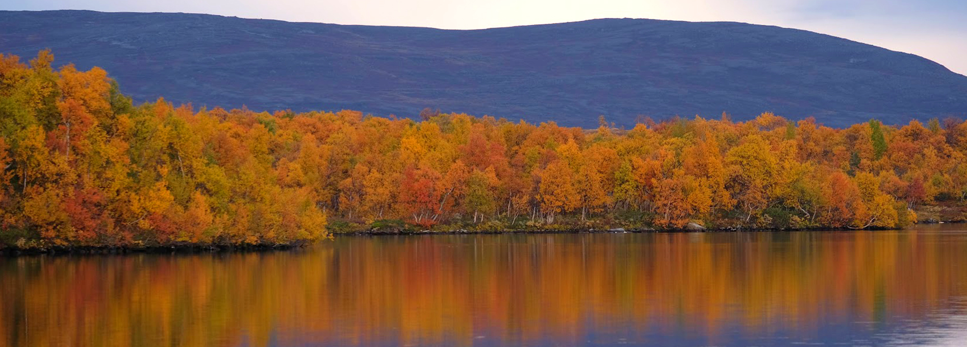 Höst i fjällen