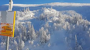 Skylt med texten "Lavinområde" står framför snötäckt berg